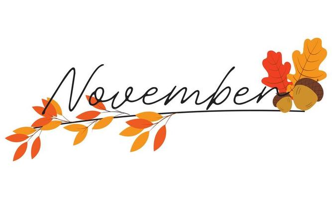 November 2024 Monthly Newsletter