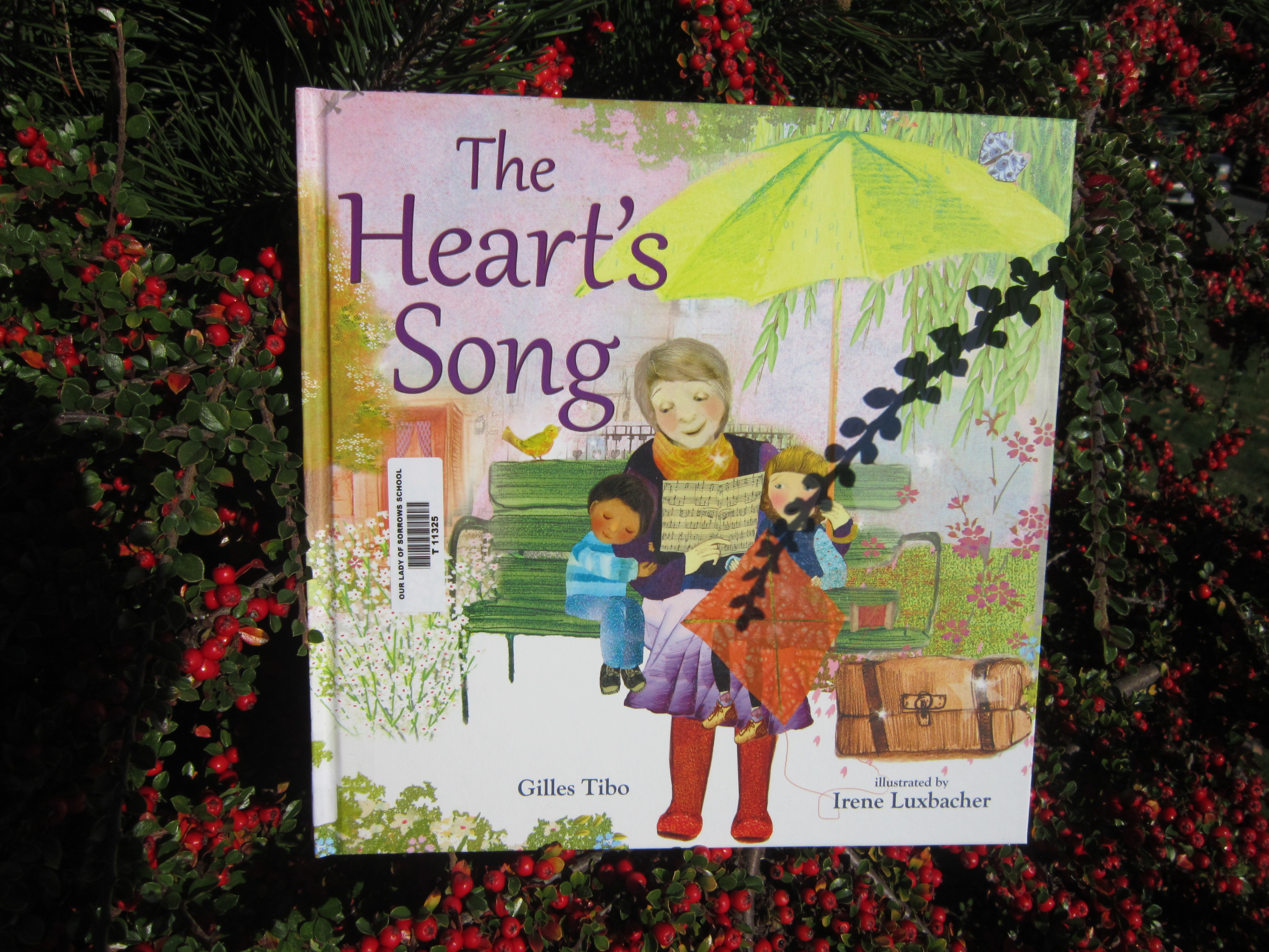 SNEEK PEEK!! New Library Books for November