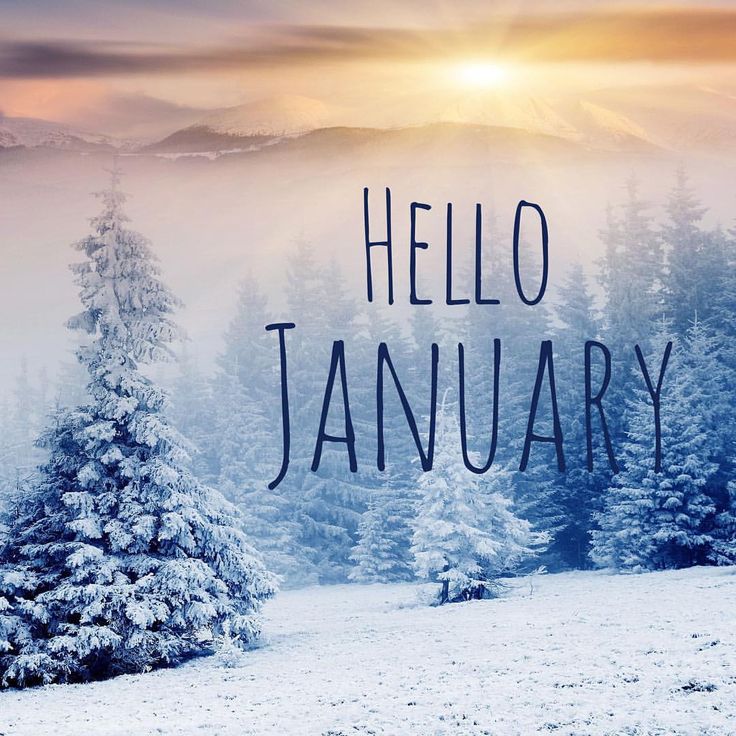 New Year…New Library Books!!