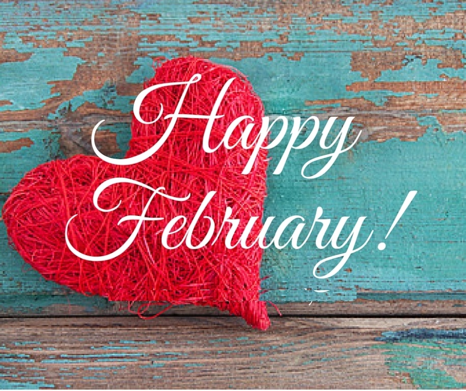 WOW!! 50 NEW Library Books for February :)
