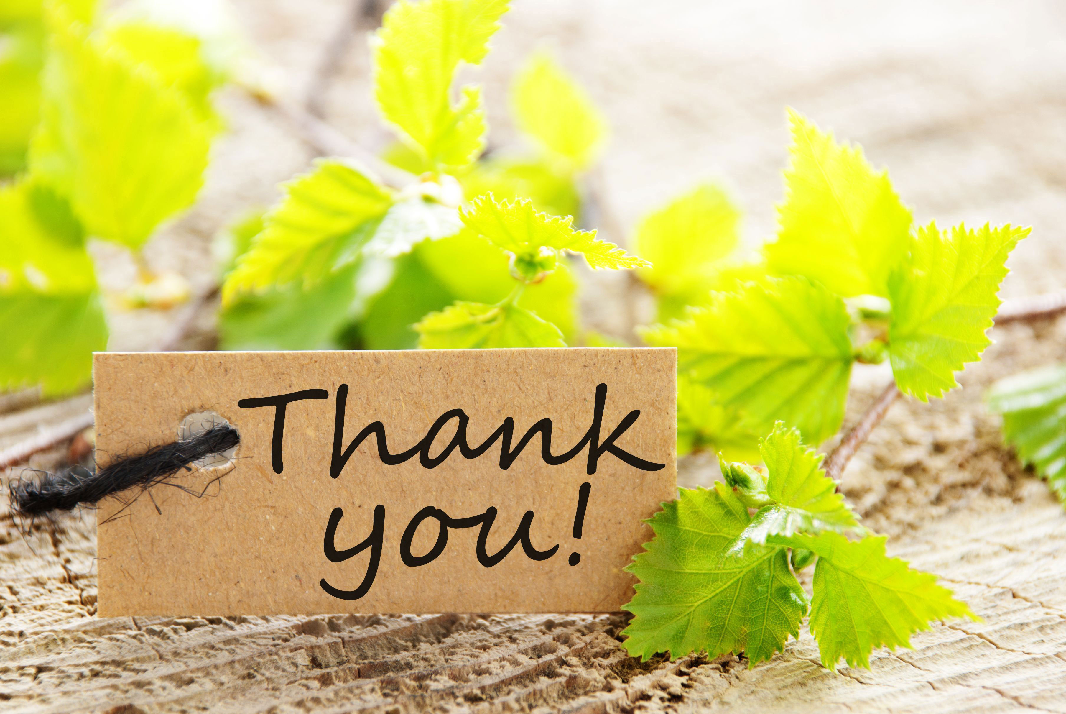 Thank you for the Book Donations!