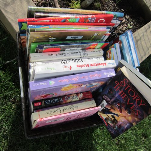 New Library Books for May 2019