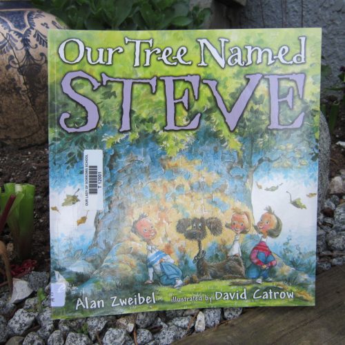 New Library Books for October 2019