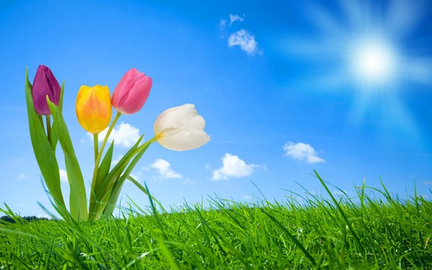 April 14, 2021 Weekly E-Letter