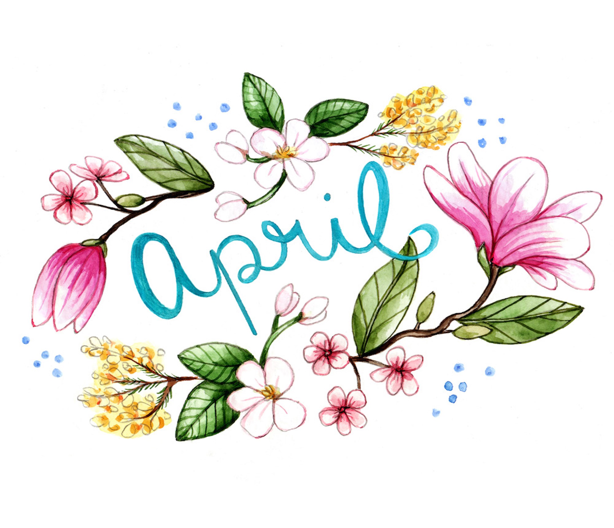 APRIL 2025 MONTHLY NEWSLETTER