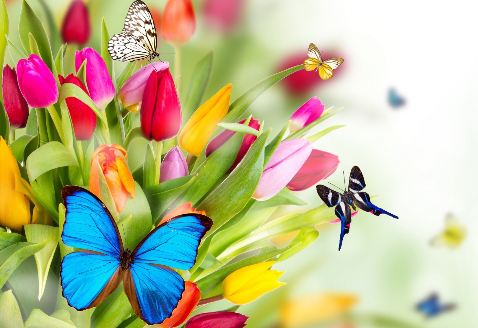 April 12, 2023 Weekly E-Letter