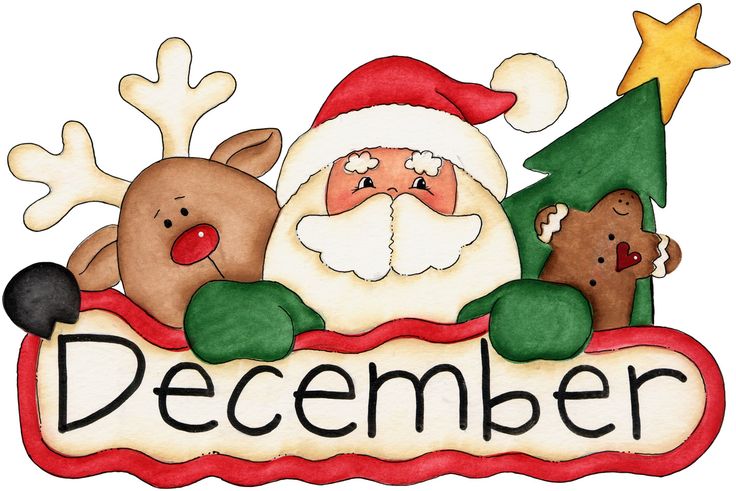 December 2024 Monthly Newsletter